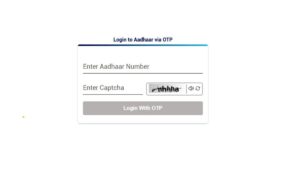Filling new address in Aadhar Address Update form