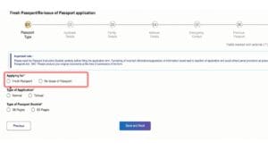 Filling passport application form correctly step by step