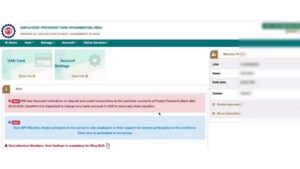 pf uan number se pf login portal ka use